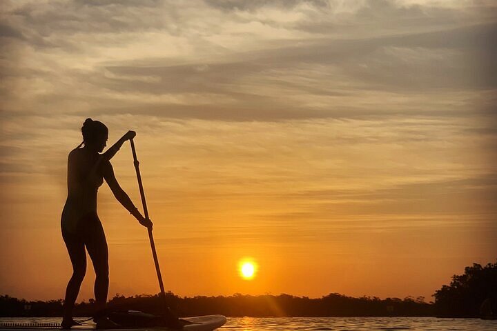 Paddle Board